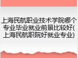 上海民航职业技术学院哪个专业毕业就业前景比较好(上海民航职院好就业专业)