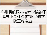 广州民航职业技术学院的王牌专业是什么(广州民航学院王牌专业)
