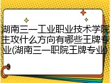 湖南三一工业职业技术学院主攻什么方向有哪些王牌专业(湖南三一职院王牌专业)