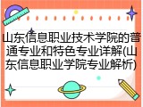 山东信息职业技术学院的普通专业和特色专业详解(山东信息职业学院专业解析)