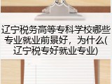 辽宁税务高等专科学校哪些专业就业前景好，为什么(辽宁税专好就业专业)