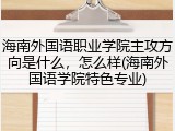 海南外国语职业学院主攻方向是什么，怎么样(海南外国语学院特色专业)