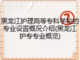 黑龙江护理高等专科学校的专业设置概况介绍(黑龙江护专专业概览)