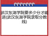 武汉东湖学院要多少分才能进(武汉东湖学院录取分数线)