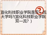 宣化科技职业学院是双一流大学吗?(宣化科技职业学院双一流？)