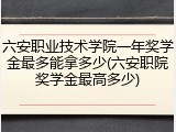 六安职业技术学院一年奖学金最多能拿多少(六安职院奖学金最高多少)