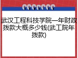 武汉工程科技学院一年财政拨款大概多少钱(武工院年拨款)