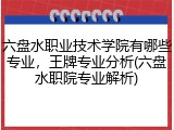 六盘水职业技术学院有哪些专业，王牌专业分析(六盘水职院专业解析)