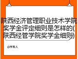 陕西经济管理职业技术学院奖学金评定细则是怎样的(陕西经管学院奖学金细则)