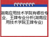 湖南应用技术学院有哪些专业，王牌专业分析(湖南应用技术学院王牌专业)