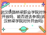 武汉铁路桥梁职业学院对外开放吗，能否进去参观(武汉桥梁学院对外开放吗)