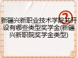 新疆兴新职业技术学院共开设有哪些类型奖学金(新疆兴新职院奖学金类型)