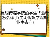 昆明传媒学院的学生毕业都怎么样了(昆明传媒学院毕业生去向)