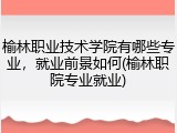 榆林职业技术学院有哪些专业，就业前景如何(榆林职院专业就业)