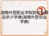 湖南外贸职业学院到毕业要花多少学费(湖南外贸毕业学费)