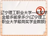 辽宁理工职业大学一年奖学金最多能拿多少(辽宁理工职业大学最高奖学金数额)
