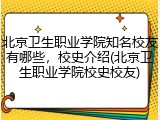 北京卫生职业学院知名校友有哪些，校史介绍(北京卫生职业学院校史校友)