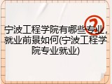 宁波工程学院有哪些专业，就业前景如何(宁波工程学院专业就业)