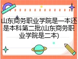 山东商务职业学院是一本还是本科第二批(山东商务职业学院是二本)
