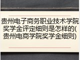 贵州电子商务职业技术学院奖学金评定细则是怎样的(贵州电商学院奖学金细则)