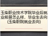 玉柴职业技术学院毕业后就业前景怎么样，毕业生去向(玉柴职院就业去向)