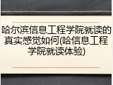 哈尔滨信息工程学院就读的真实感觉如何(哈信息工程学院就读体验)