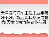 天津滨海汽车工程职业学院好不好，就业现状及发展趋势(天津滨海汽院就业前景)