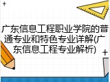 广东信息工程职业学院的普通专业和特色专业详解(广东信息工程专业解析)