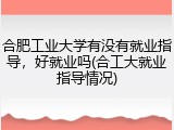 合肥工业大学有没有就业指导，好就业吗(合工大就业指导情况)