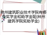 林州建筑职业技术学院有哪些奖学金和助学金呢(林州建筑学院奖助学金)