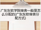 广东东软学院宿舍一般是怎么分配的(广东东软宿舍分配方式)