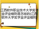 江西软件职业技术大学奖学金评定细则是怎样的(江西软件大学奖学金评定细则)