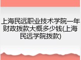 上海民远职业技术学院一年财政拨款大概多少钱(上海民远学院拨款)