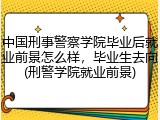 中国刑事警察学院毕业后就业前景怎么样，毕业生去向(刑警学院就业前景)