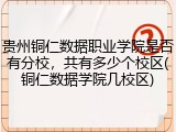 贵州铜仁数据职业学院是否有分校，共有多少个校区(铜仁数据学院几校区)
