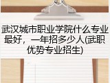 武汉城市职业学院什么专业最好，一年招多少人(武职优势专业招生)