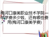 梅河口康美职业技术学院一年学费多少钱，还有哪些费用(梅河口康美学费)