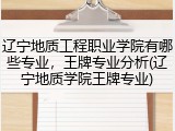 辽宁地质工程职业学院有哪些专业，王牌专业分析(辽宁地质学院王牌专业)
