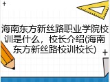 海南东方新丝路职业学院校训是什么，校长介绍(海南东方新丝路校训校长)