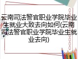 云南司法警官职业学院毕业生就业大致去向如何(云南司法警官职业学院毕业生就业去向)