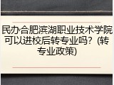 民办合肥滨湖职业技术学院可以进校后转专业吗？(转专业政策)