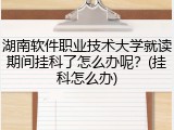 湖南软件职业技术大学就读期间挂科了怎么办呢？(挂科怎么办)