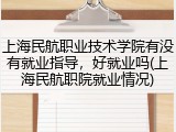 上海民航职业技术学院有没有就业指导，好就业吗(上海民航职院就业情况)