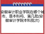 安徽审计职业学院在哪个城市，是本科吗，第几批(安徽审计学院本科批次)