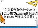 广东东软学院的校史简介，什么历史与社会背景下建校的(东软学院建校背景)
