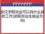 武汉学院毕业可以找什么样的工作(武院毕业生就业方向)