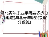湖北青年职业学院要多少分才能进(湖北青年职院录取分数线)