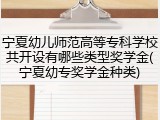 宁夏幼儿师范高等专科学校共开设有哪些类型奖学金(宁夏幼专奖学金种类)
