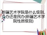新疆艺术学院是什么级别，公办还是民办(新疆艺术学院性质级别)