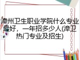 漳州卫生职业学院什么专业最好，一年招多少人(漳卫热门专业及招生)